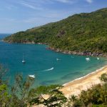 ilhabela passaro marron