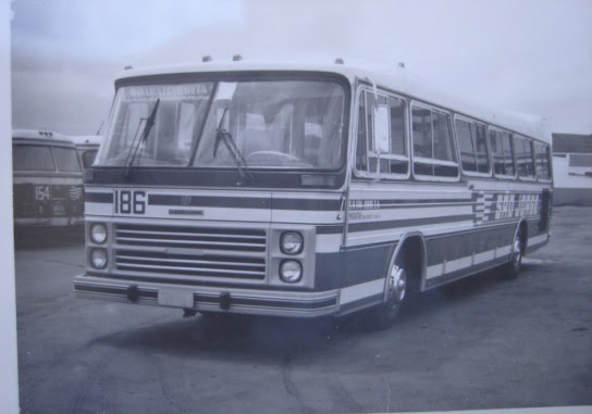 passaro marron